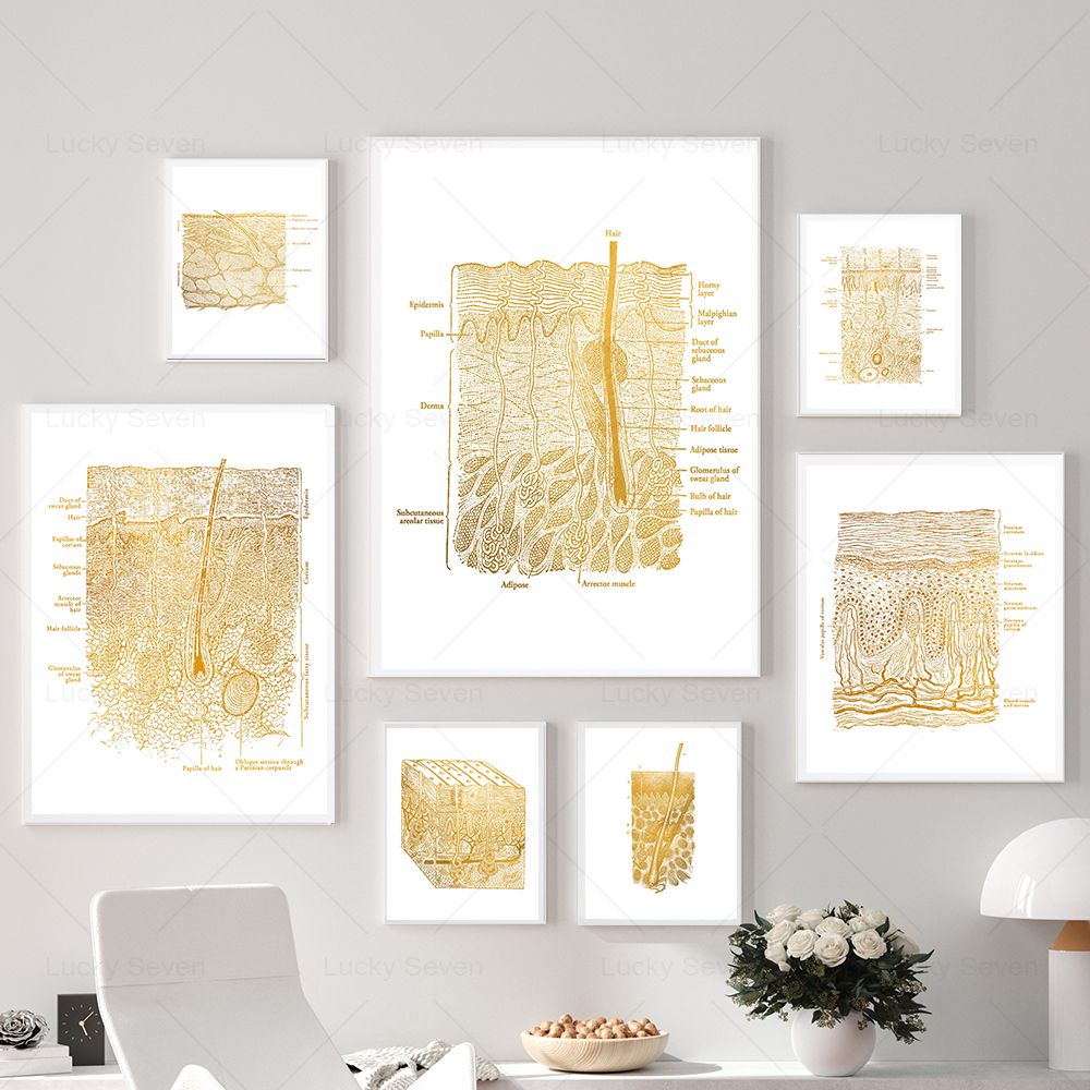 Skin Care Anatomy Posters Diss - Skincare Ls recension och pris